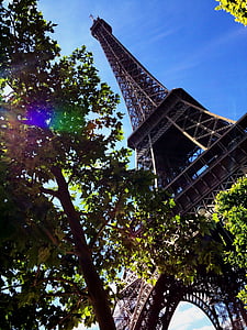 Eiffel, Башня, рядом с, дерево, очистить, небо, Париж
