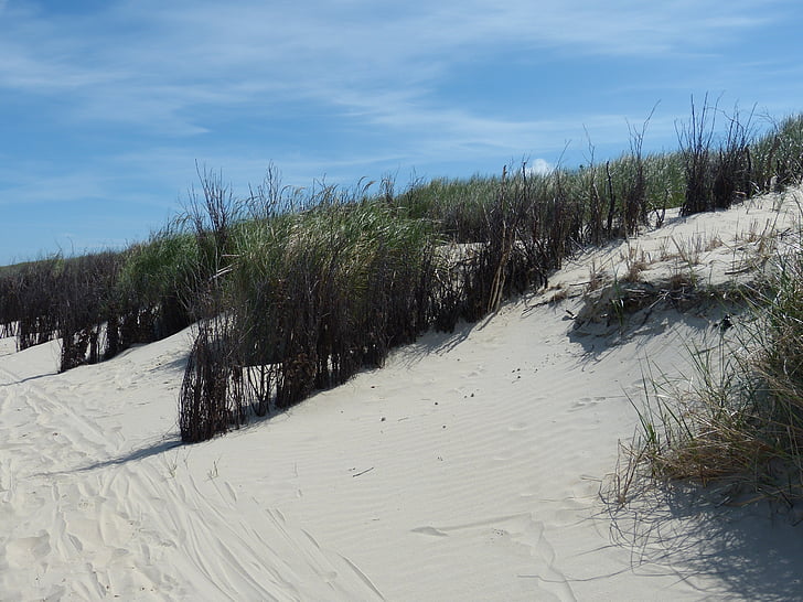 dune, sable, plage, nature, hiver, neige, à l’extérieur