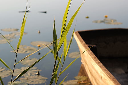 езеро, лодка, от захарна тръстика, вечерта, вода, Открит, мирни