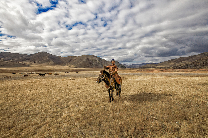 tarde de outono, Prado, Nomad, cavalo, aldeia de Bogart, Mongólia, céu