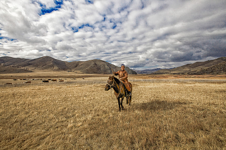 vēlā rudenī, pļavas, Nomad, zirgs, Bogart ciems, Mongolija, debesis