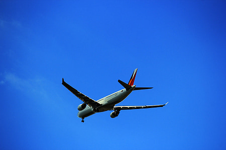 飞机, 空客, 飞, 重力, 翅膀, 菲律宾航线, 商业