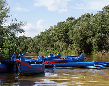 皮划艇, 河, 独木舟, 托斯卡纳, ombrone