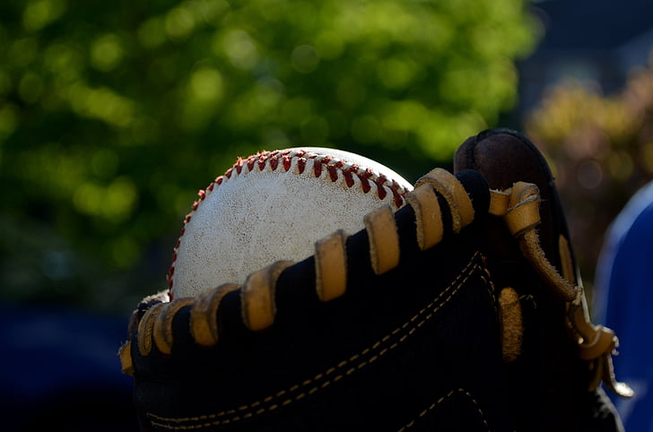 ลูกบอล, ถุงมือ, เบสบอล, ต้นไม้, กีฬา, อุปกรณ์, ลูกบอลกีฬา