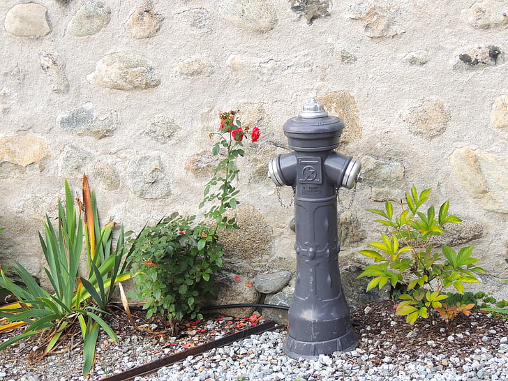 hydrant, grey, fire, garden