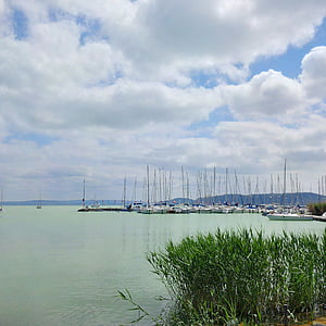 Balaton, Ungheria, sole, mezzo di trasporto marittimo, Porto, mare, barca a vela