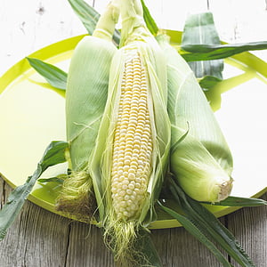 corn, maize, vegetable, plant, food, yellow, sweet corn