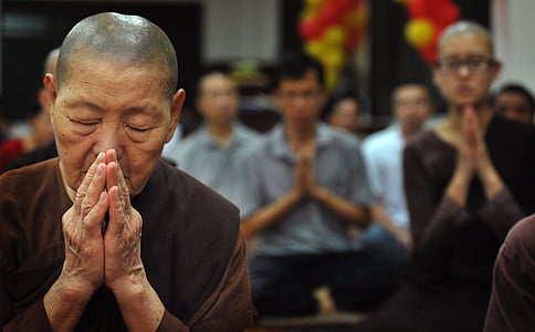 Theravada Phật giáo, nữ tu cũ, thờ phượng, sayalay, cũ, người cao tuổi, tỏ lòng tôn kính