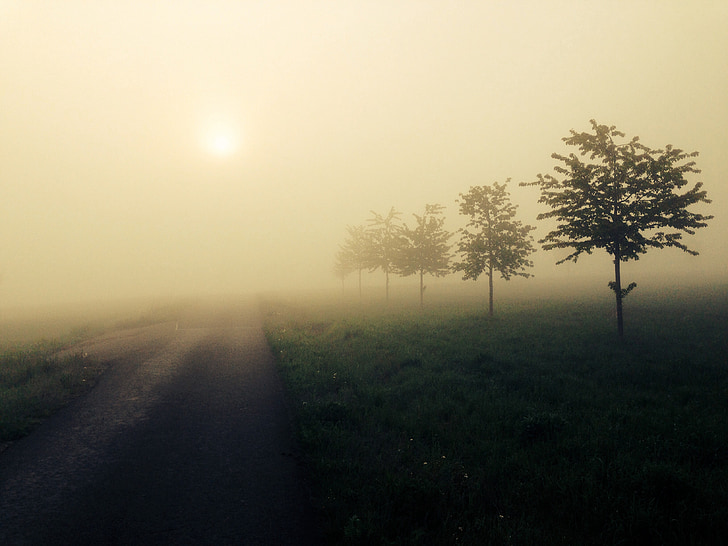 fog, sun, landscape, atmosphere, mood