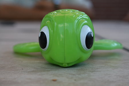 oyuncak kaplumbağa, yakın çekim, küçük, Kaplumbağa, oyuncak