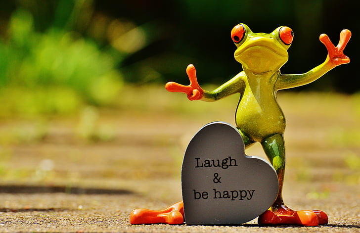 grenouille, drôle, éclat de rire, bonne humeur, heureux, positif, Smile