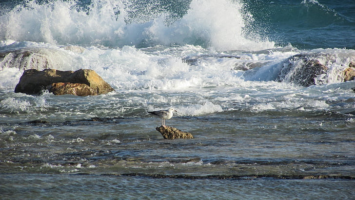 Chipre, Ayia napa, Playa de Kermia, costa rocosa, ondas, romper, viento