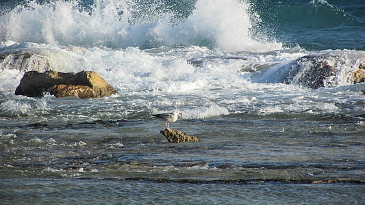 Kıbrıs, Ayia napa, kermia beach, kayalık sahil, dalgalar, Smashing, rüzgarlı