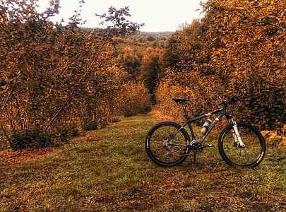 bicicleta, bicicleta, naturaleza, al aire libre, plantas, árboles, otoño