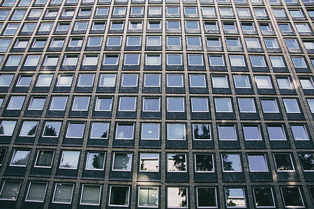 üveg, panel, ablak, sok, épület, üzleti, város