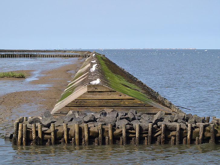 paret d'escuma, Mar del nord, Mar de Wadden, vats, zona entre marees fins, reflux, marea baixa