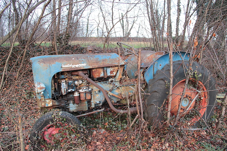 tractor, abandonament, plantes, Brianza, rovellat, vell, brossa