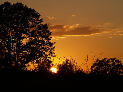 solnedgang, oransje, trær, himmelen, natur, solen, landskapet