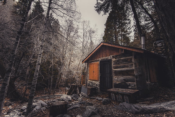 abandoned, broken, cabin, calamity, daylight, forest, frost