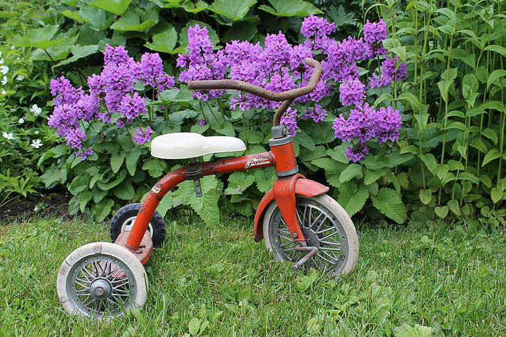 vehículo de tres ruedas, Júpiter, retro, lastenpyörä, bicicleta, antiguo, usado