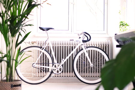 arhitektura, unutarnji, Interijer, zelena, biljka, bicikl, bicikala