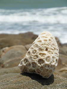 ładny, Coral, skały, głazy, równowaga, żwirowa, morze