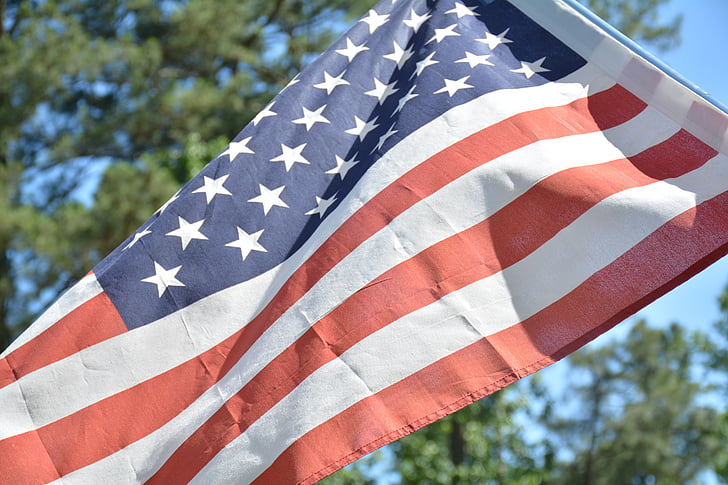 bendera, bendera Amerika Serikat, pohon
