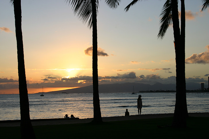 Hawaii, Waikiki, Honolulu, stranden, kvällen, palmer