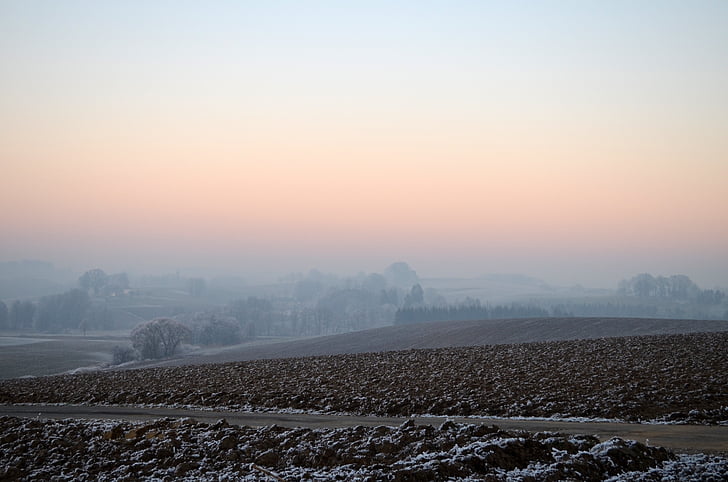 wintry, fog, ripe, hoarfrost, landscape, cold, ice