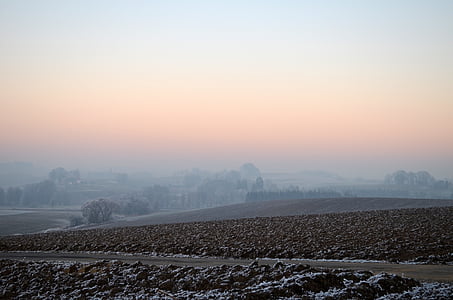 wintry, fog, ripe, hoarfrost, landscape, cold, ice