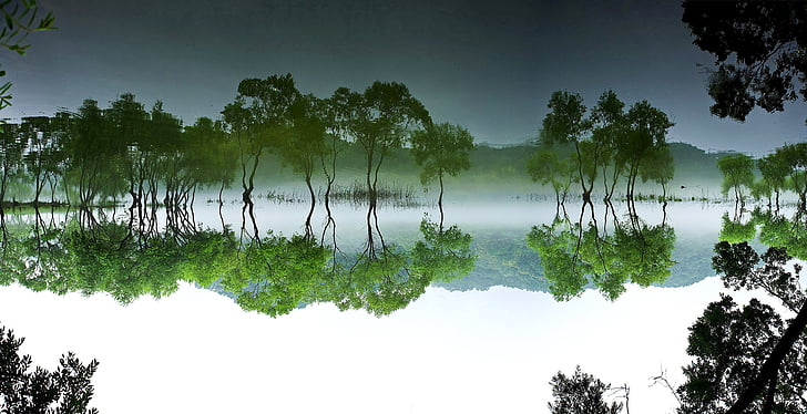 daechung, bosc, Llac, paisatge, l'aigua, natura, fusta