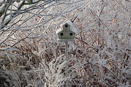 boîte du nid, neige, hiver, nature