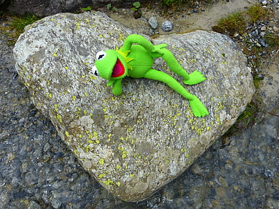 kamień, serce, Kermit, żaba, miłość, Natura, kamienne serce