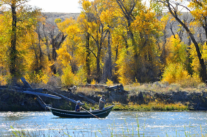 釣り, ボート, 秋, 秋, 葉, カラフルです, 木