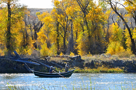 Rybaření, loď, podzim, na podzim, listy, barevné, stromy