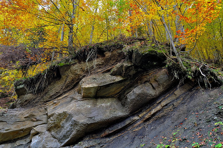 Rock, Wald, Herbst, Landschaft, Natur, schöne, im freien