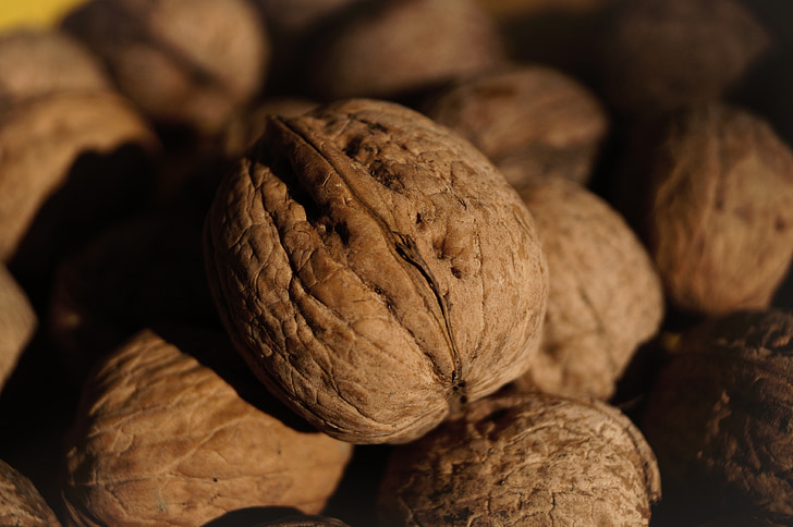 walnut, crop, brown, stone, autumn, healthy