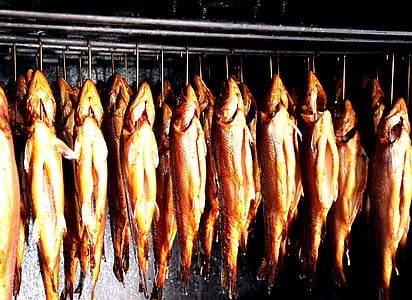 smoked trout, smoking oven, trout, fish festival, smokehouse, smoked fish, smoking