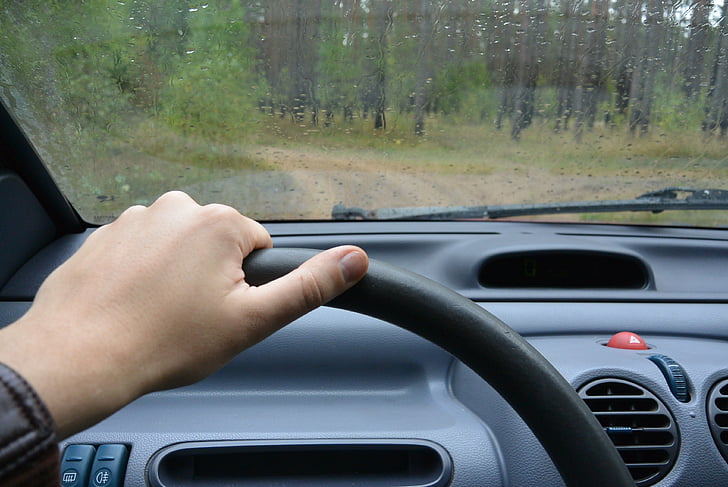 steering wheel, forest, road, path, car, motor, machine