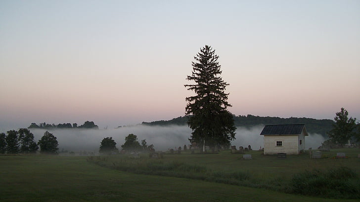 kirkegård, tåge, Dawn, Pennsylvania, kirkegård, tåge, træ