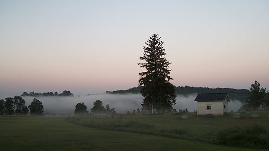 cemitério, nevoeiro, amanhecer, Pensilvânia, cemitério, névoa, árvore
