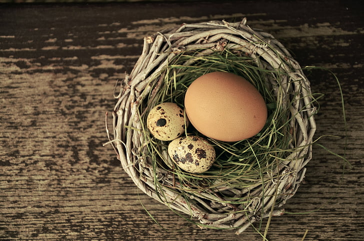 vajcia, hniezdo, Veľkonočné, Veľkonočné hniezda, Veľkonočné dekorácie
