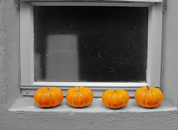 pumpkins, trim, window