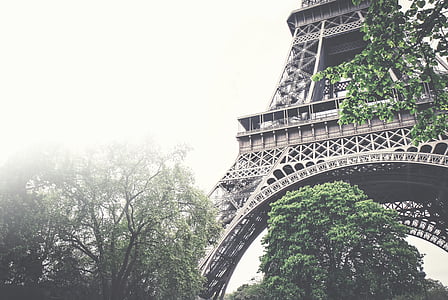 niski, kąt, fotografii, drzewa, Eiffel, Wieża, mglisty