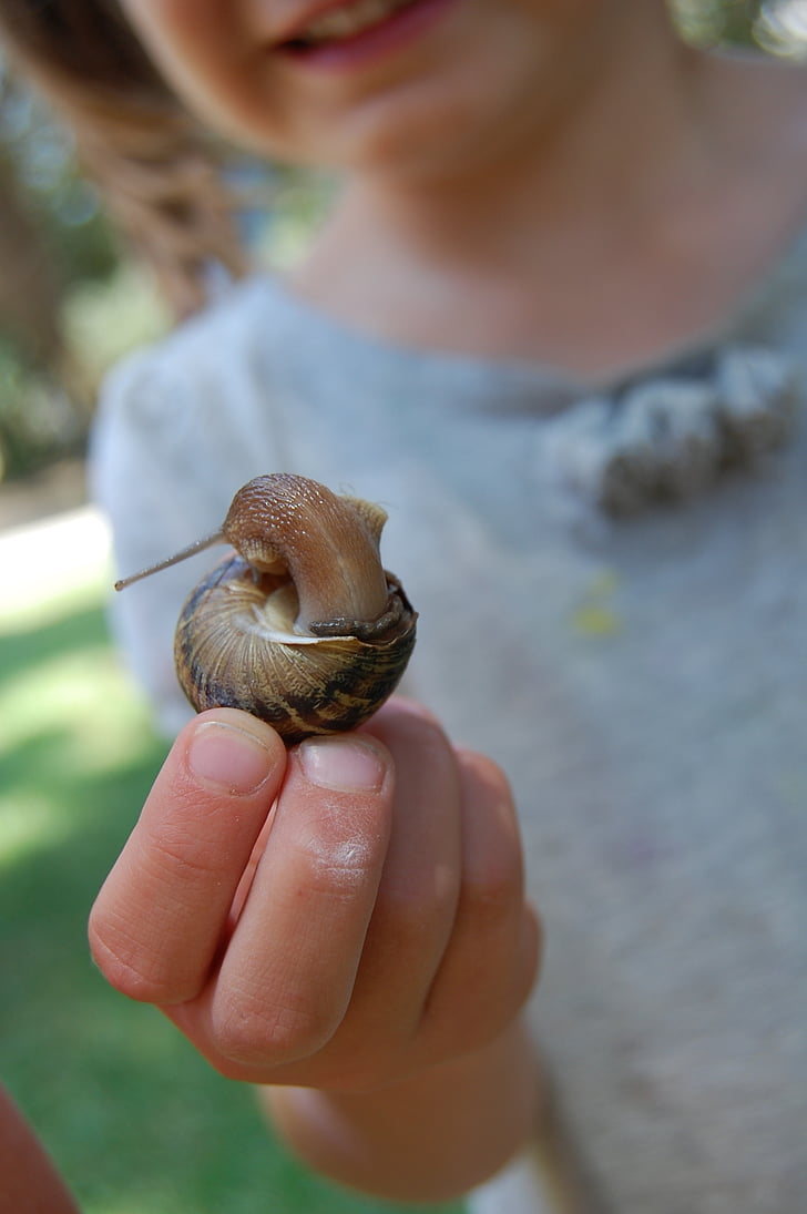 sneglen, Pige, hånd, barn, lille, mollusk, slimet