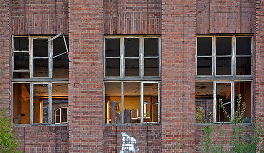 lost places, factory, pforphoto, window, old, leave, industrial plant