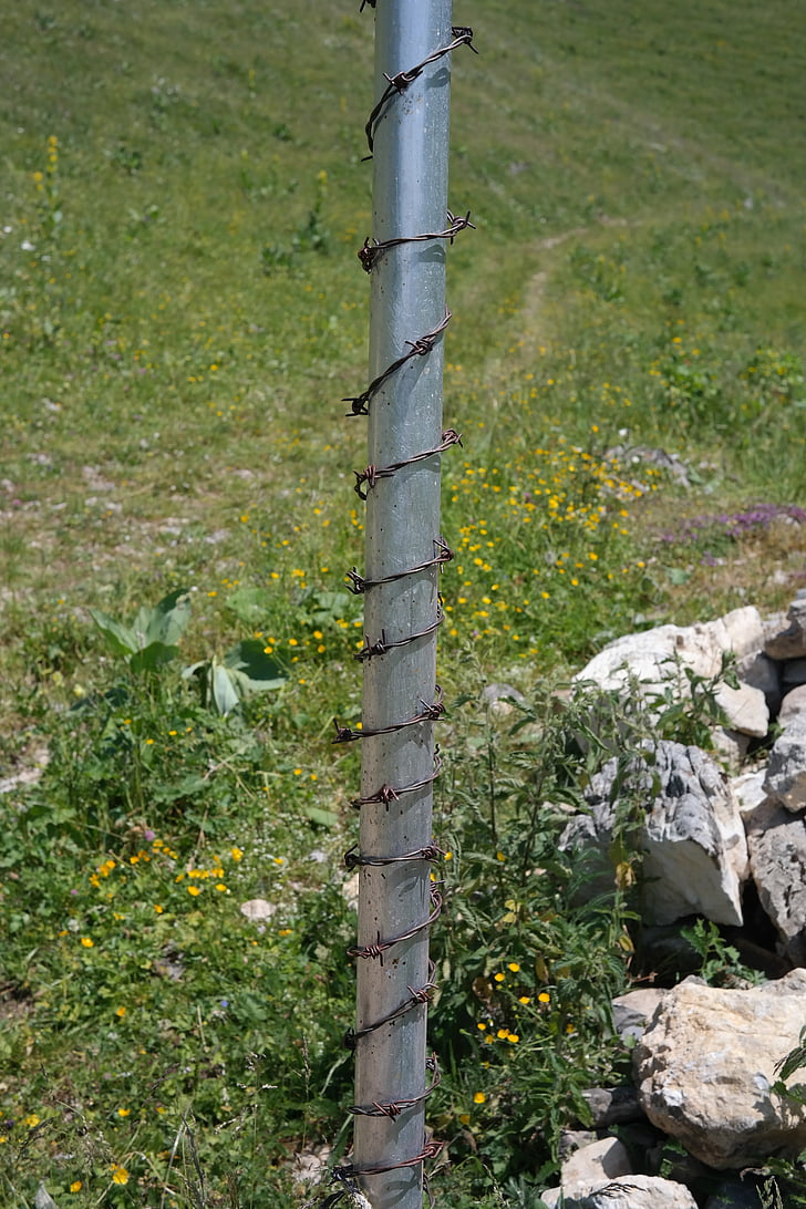 post, barbed wire, protection, protected, outdoors, nature