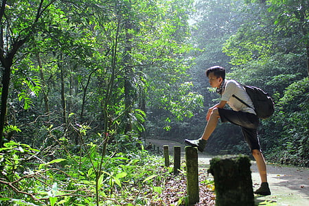 adventure, forest, man, outdoors, path, person, rainforest