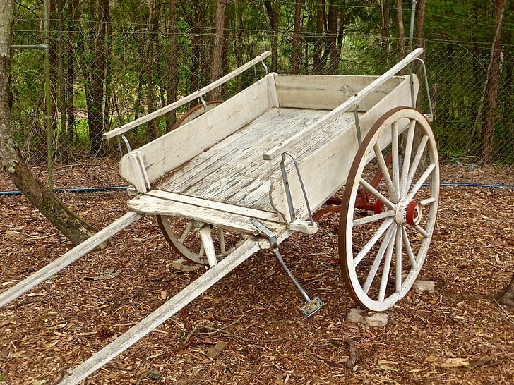 buggy, cart, horse, two wheel, vehicle, transport, wheel