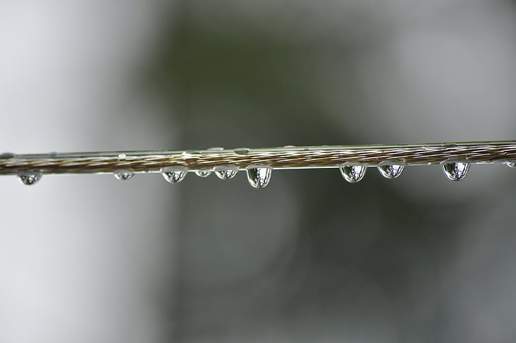 water, drops, clothes line, water drop, environment, macro, clear